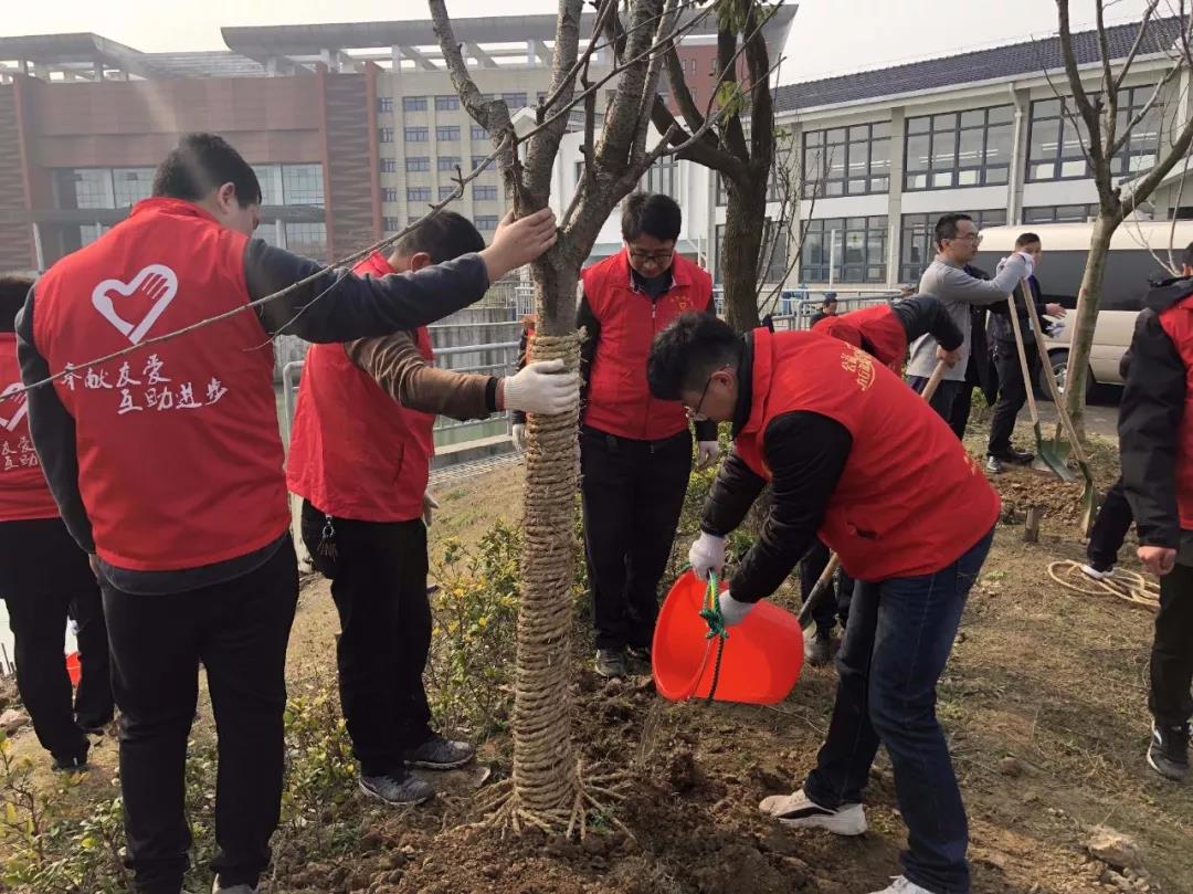 组织团员青年前往吴兴区罗溇港化桥、利川桥堤防两岸开展植树活动