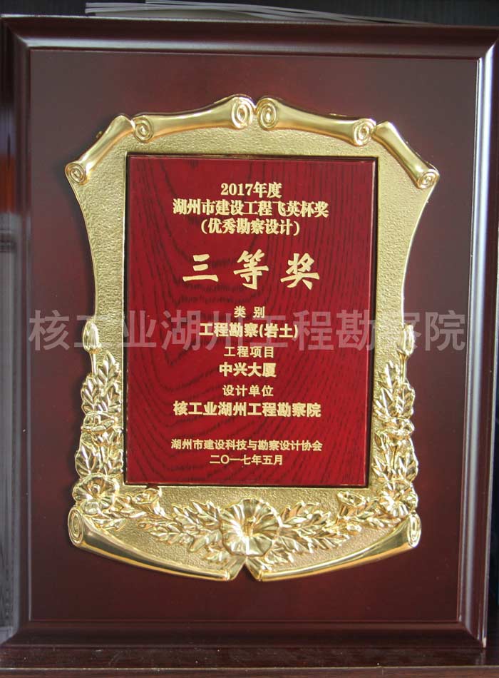 中兴大厦三等奖