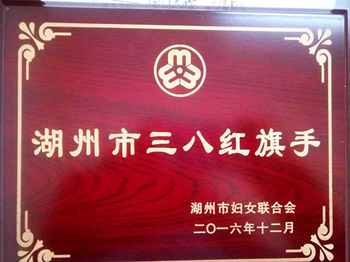 郭霞湖州市三八红旗手